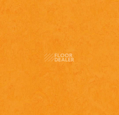 Линолеум Forbo Marmoleum Marbled Fresco 3262-326235 marigold фото 1 | FLOORDEALER